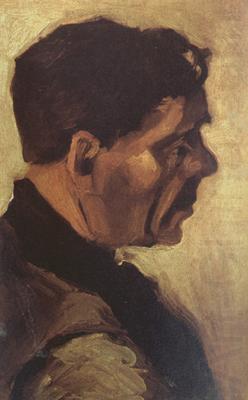 Vincent Van Gogh Head of a Peasant (nn04)